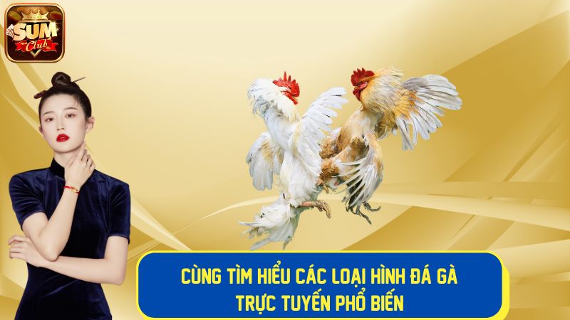 Các loại hình cược đá gà trực tuyến phổ biến
